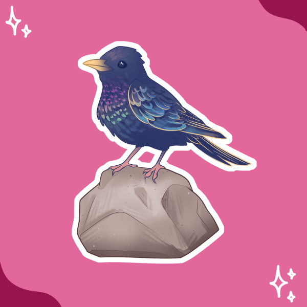 February 2025 Subscriber Sticker